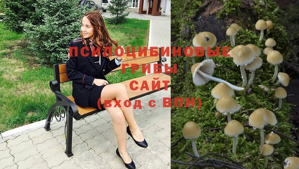 гашишное масло Осташков