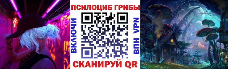Галлюциногенные грибы Psilocybe  купить наркотики цена  Малоярославец 